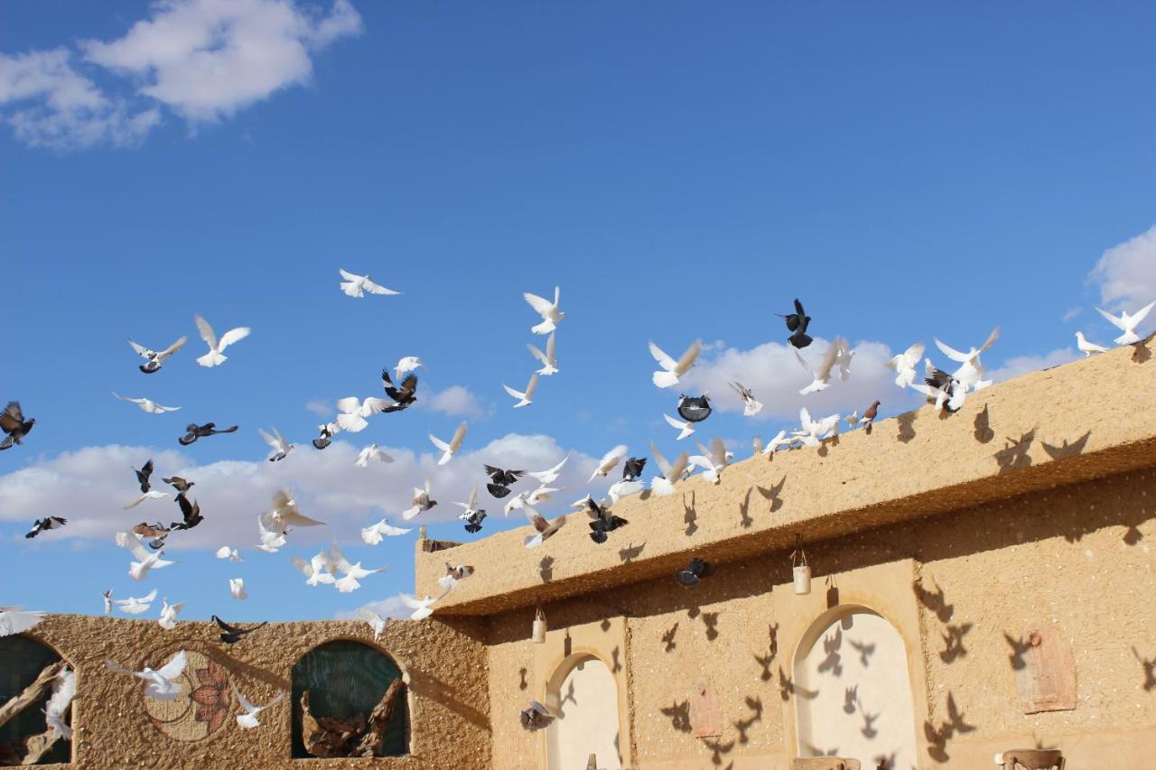 Taghaghien Island Resort Siwa Oasis Екстер'єр фото