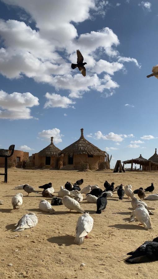 Taghaghien Island Resort Siwa Oasis Екстер'єр фото